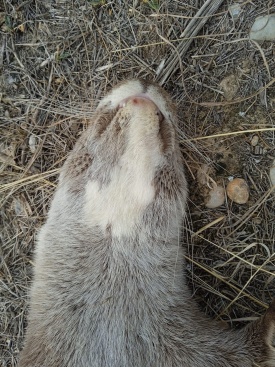 Fotografia /Galeria/2024/3/225178_142582/4_M1.jpg