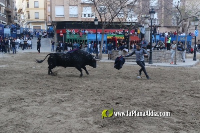 Fotografia /Galeria/2024/4/225567_142860/5_M1.jpg