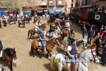 Toros cerriles y encierro de caballos en la Pascua Taurina de l'Alcora