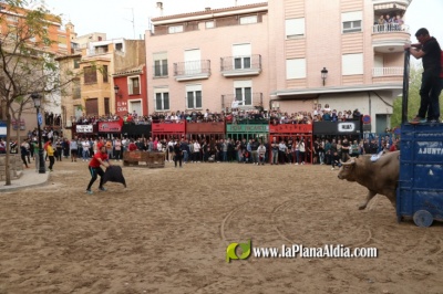 Fotografia /Galeria/2024/4/225639_142913/3_M1.jpg