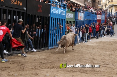 Fotografia /Galeria/2024/4/225639_142913/5_M1.jpg