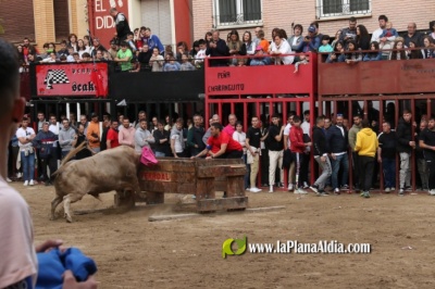 Fotografia /Galeria/2024/4/225639_142913/6_M1.jpg