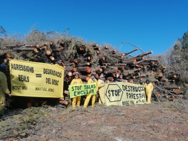 Fotografia /Galeria/2024/4/225723_142975/2_M1.jpg