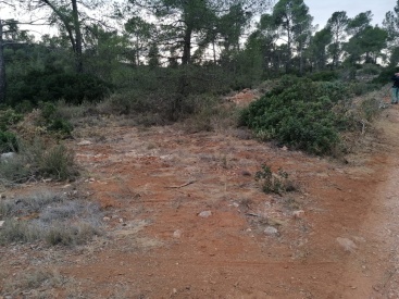 Fotografia /Galeria/2024/4/225723_142975/4_M1.jpg