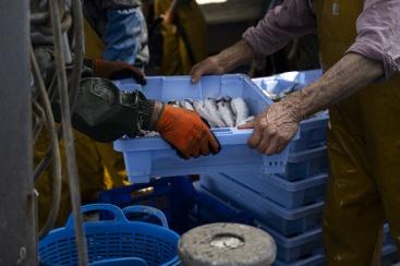 Fotografia /Galeria/2024/4/225900_143094/2_M1.jpg