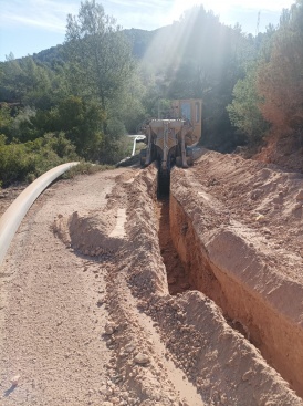 Fotografia /Galeria/2024/4/226057_143208/2_M1.jpg