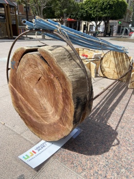 Fotografia /Galeria/2024/4/226400_143446/3_M1.jpg