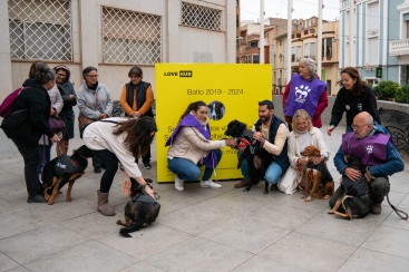 L'Alcora llana una nova campanya de Benestar Animal