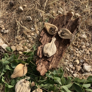 Fotografia /Galeria/2024/4/226455_143491/4_M1.jpg