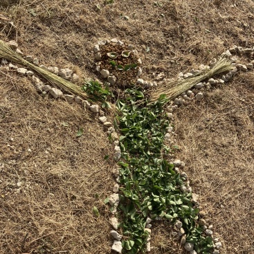 Fotografia /Galeria/2024/4/226455_143491/6_M1.jpg