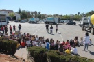 Escolars d'Almenara planten prop de 250 exemplars de pi carrascar i lledoner a la localitat