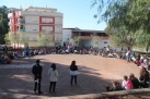 Escolars d'Almenara planten prop de 250 exemplars de pi carrascar i lledoner a la localitat