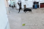 Fotografia /Galeria/2024/5/227062_143927/5_M1.jpg