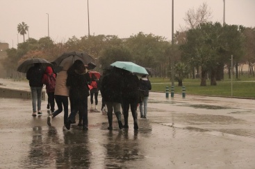 Fotografia /Galeria/2024/5/227270_144072/2_M1.jpg