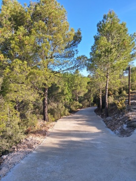 Fotografia /Galeria/2024/5/227463_144223/2_M1.jpg