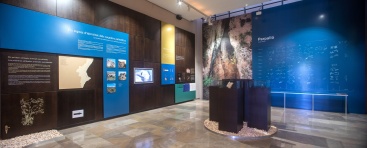 Actividades programadas por el Museo de la Valltorta en el Día Internacional de los Museos 2024