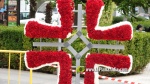 Borriana destella ornamentaci? floral amb les seves Creus de Maig