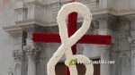 Borriana destella ornamentaci? floral amb les seves Creus de Maig