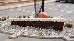 Borriana destella ornamentaci? floral amb les seves Creus de Maig