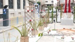 Borriana destella ornamentaci? floral amb les seves Creus de Maig