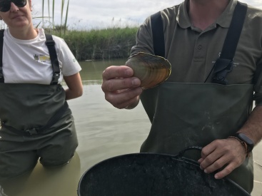 Fotografia /Galeria/2024/5/227851_144495/2_M1.jpg