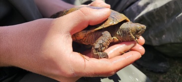 Fotografia /Galeria/2024/5/227851_144495/6_M1.jpg