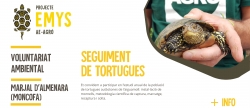 el-projecte-emys-continua-con-el-estudio-de-las-tortugas-autoctonas-en-moncofa