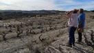 AVA-ASAJA exige ajudes per palliar els efectes devastadors de la sequera en l'agricultura valenciana
