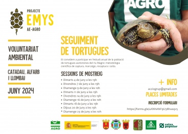 Continúa el Projecte Emys con el estudio de las tortugas autóctonas del río Magre