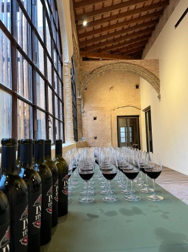 Fotografia /Galeria/2024/6/228952_145254/3_M1.jpg