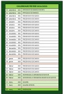 Nuevo calendario festero para las fiestas de la Magdalena 2025 en Castelln