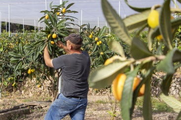 Fotografia /Galeria/2024/6/229226_145434/2_M1.jpg