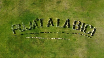 Formación en educación vial para escolares de la Vall