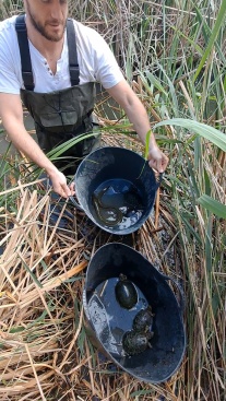 Fotografia /Galeria/2024/6/229521_145651/4_M1.jpg