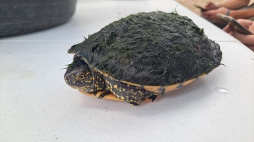 Fotografia /Galeria/2024/6/229521_145651/6_M1.jpg