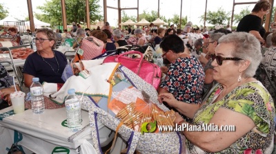 Fotografia /Galeria/2024/6/229696_145779/6_M1.jpg