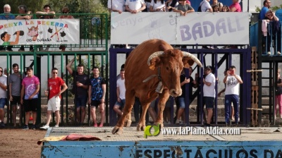 Exhibicions taurines, per la Segregació de les Alqueries