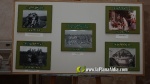 Les exposicions posen la nota cultural de les festes de la Segregaci?