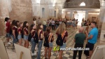 Les exposicions posen la nota cultural de les festes de la Segregaci?