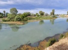 Retiren poblaci d'Azolla al riu Xquer