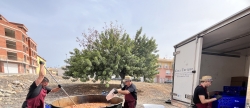 Sant Joan de Moro reparte mas de 2.000 raciones de `tombet de bou'
