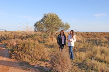 Fomento Urbano de Castellón asume desarrollo del PAI del golf en Torreblanca