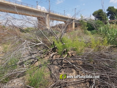 El Paisaje Protegido de la Desembocadura del río Mijares se recupera de los últimos incendios forestales ocurridos durante los meses de febrero y marzo