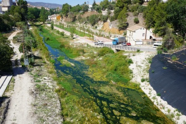 Fotografia /Galeria/2024/7/230152_146099/2_M1.jpg