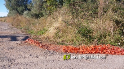 Fotografia /Galeria/2024/7/230267_146184/3_M1.jpg