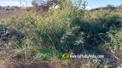 Fotografia /Galeria/2024/7/230267_146184/4_M1.jpg