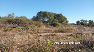 Fotografia /Galeria/2024/7/230267_146184/5_M1.jpg