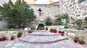 Fotografia /Galeria/2024/7/230508_146348/2_M1.jpg