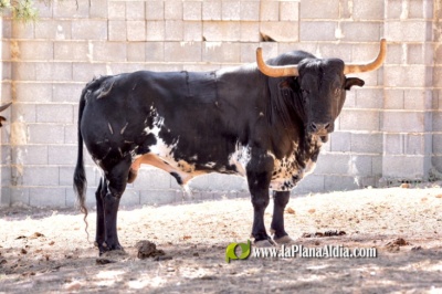 Fotografia /Galeria/2024/7/230526_146358/3_M1.jpg