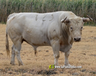 Fotografia /Galeria/2024/7/230526_146358/4_M1.jpg